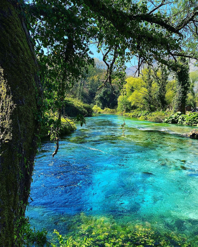 syri-kalter2